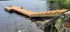 4 x 2,4 metriä 400 mm putkiponttonilaituri